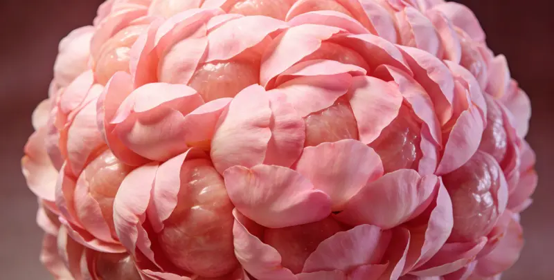 韶关BRCA1/2乳腺癌卵巢癌基因检测图片1