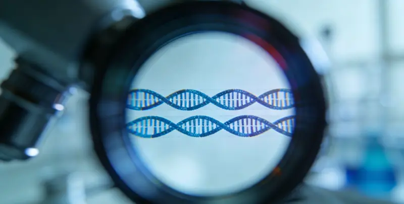 移民亲子鉴定图3