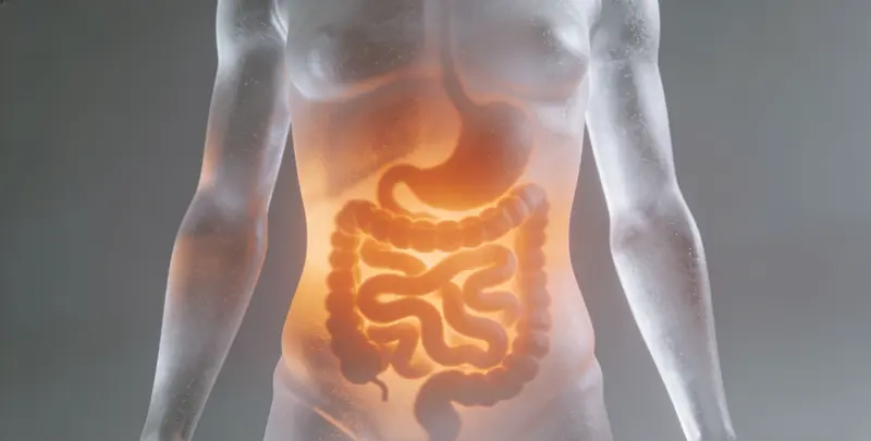 韶关胃癌分子分型基因检测项目（组织）图片1